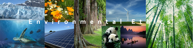 Environmental Ethics