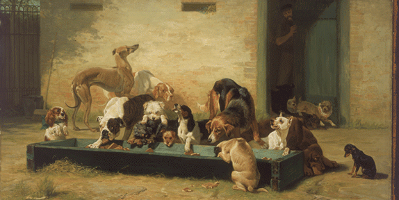 dogs as pets