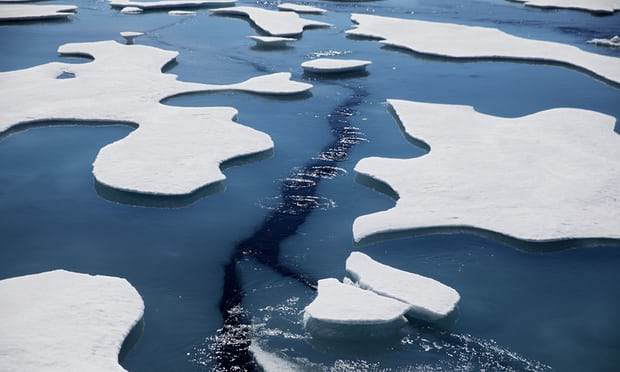 shrinking sea ice