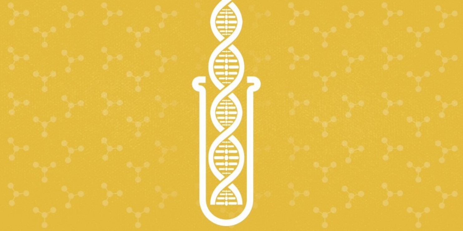 synthetic DNA
