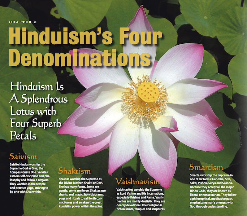 A Splendrous Lotus