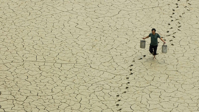 Farmer on Parched Land